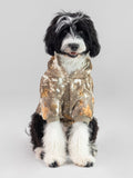 Camo Paw Hoodie