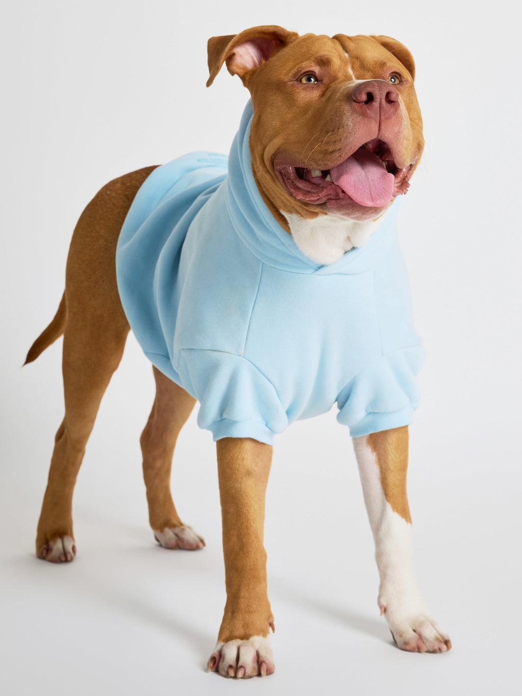 Pastel Paw Hoodie - Pre Order