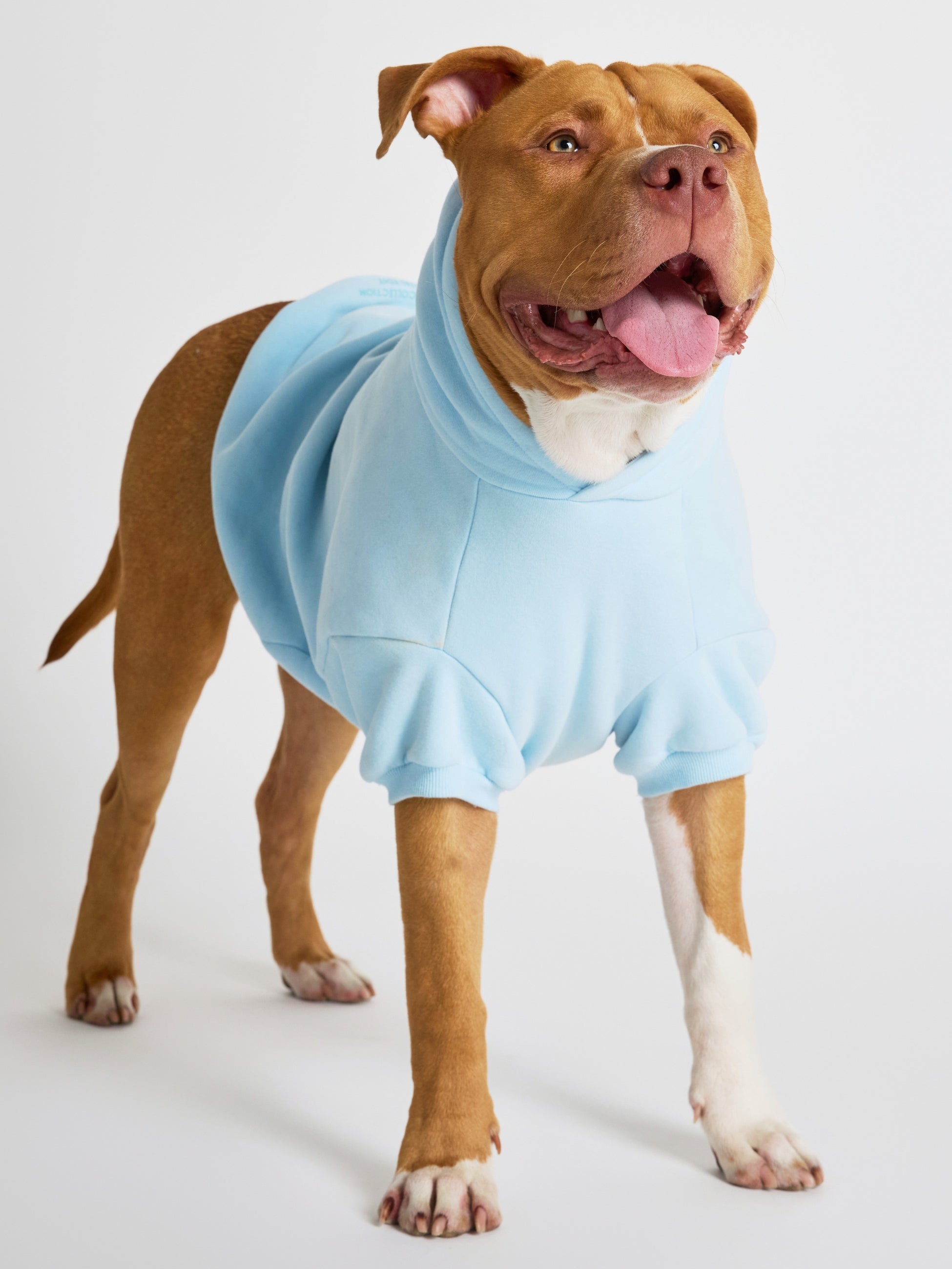 Pastel Paw Hoodie - Pre Order