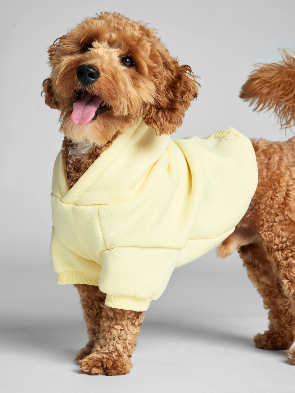 Minimalist Paw Hoodie