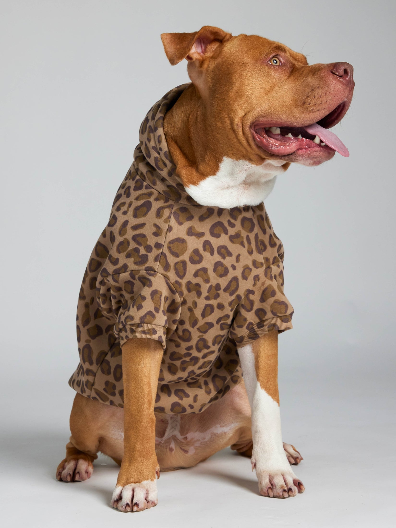 Minimalist Paw Hoodie - Pre-Order