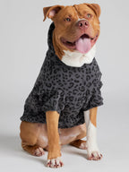 Minimalist Paw Hoodie - Pre-Order