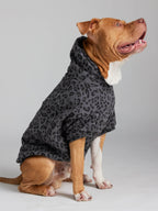 Minimalist Paw Hoodie - Pre-Order