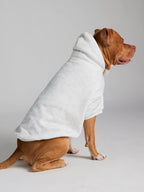 Minimalist Paw Hoodie - Pre-Order