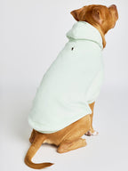 Pastel Paw Hoodie - Pre Order