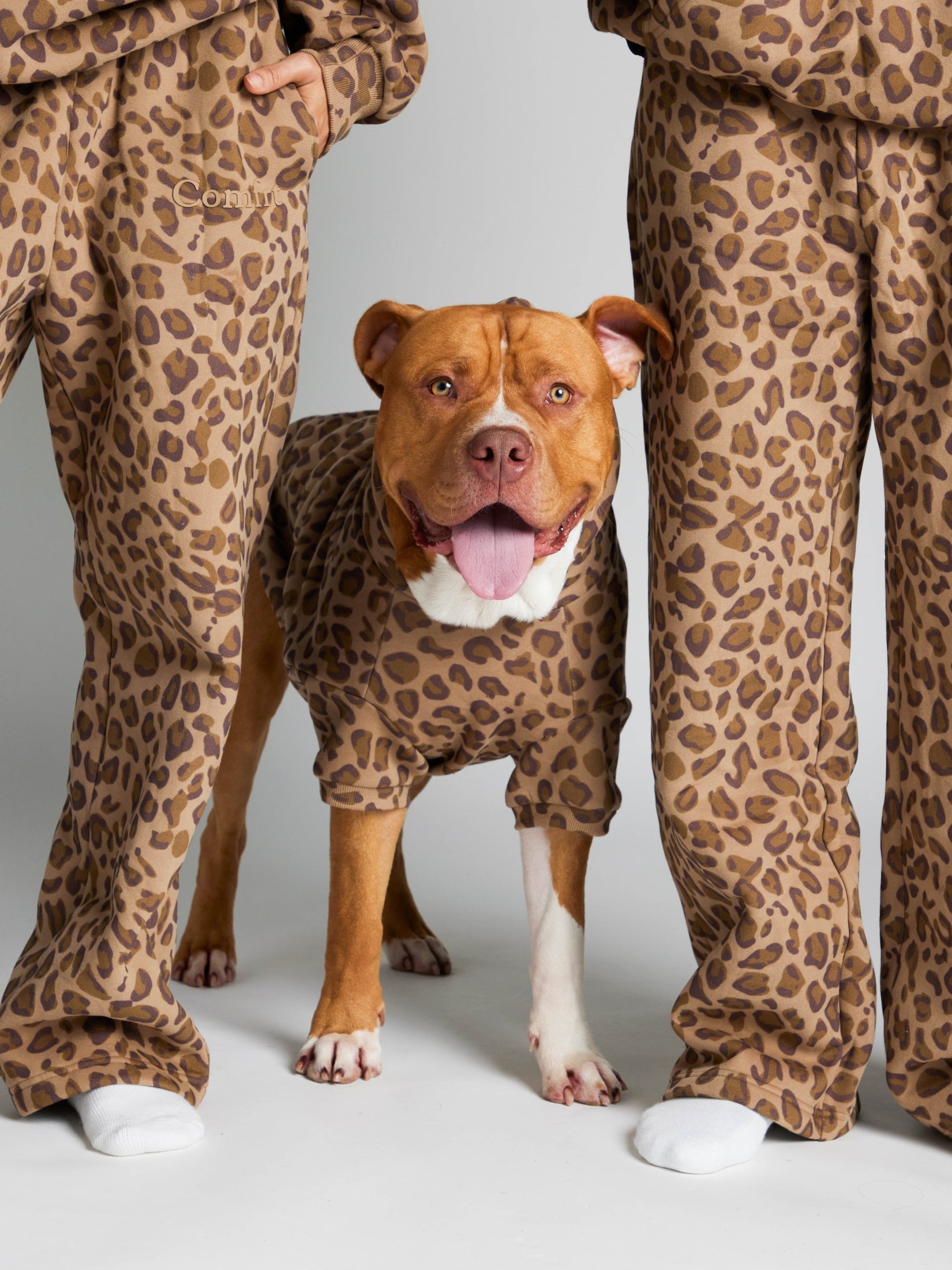 Minimalist Paw Hoodie - Pre-Order