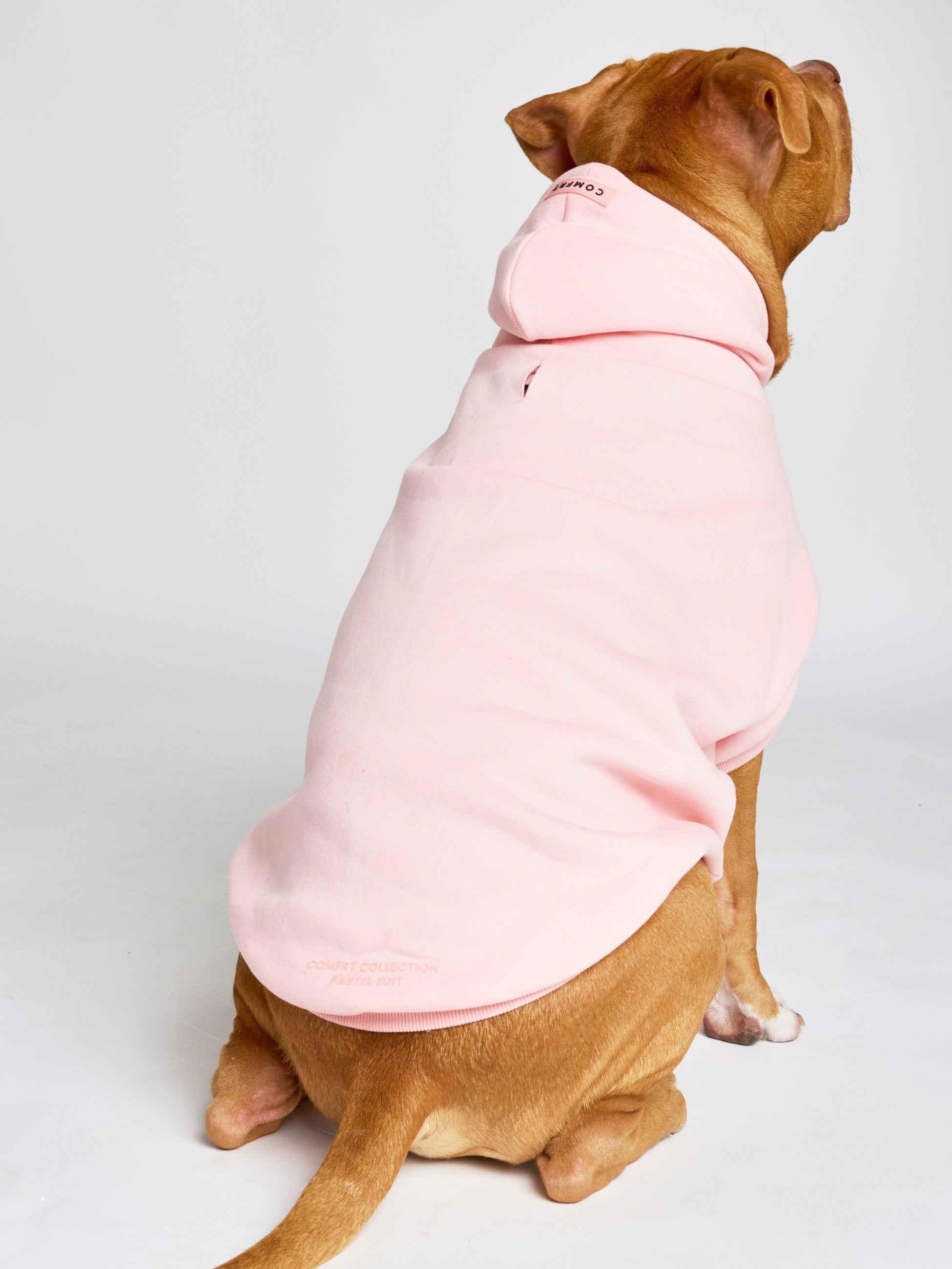 Pastel Paw Hoodie - Pre Order
