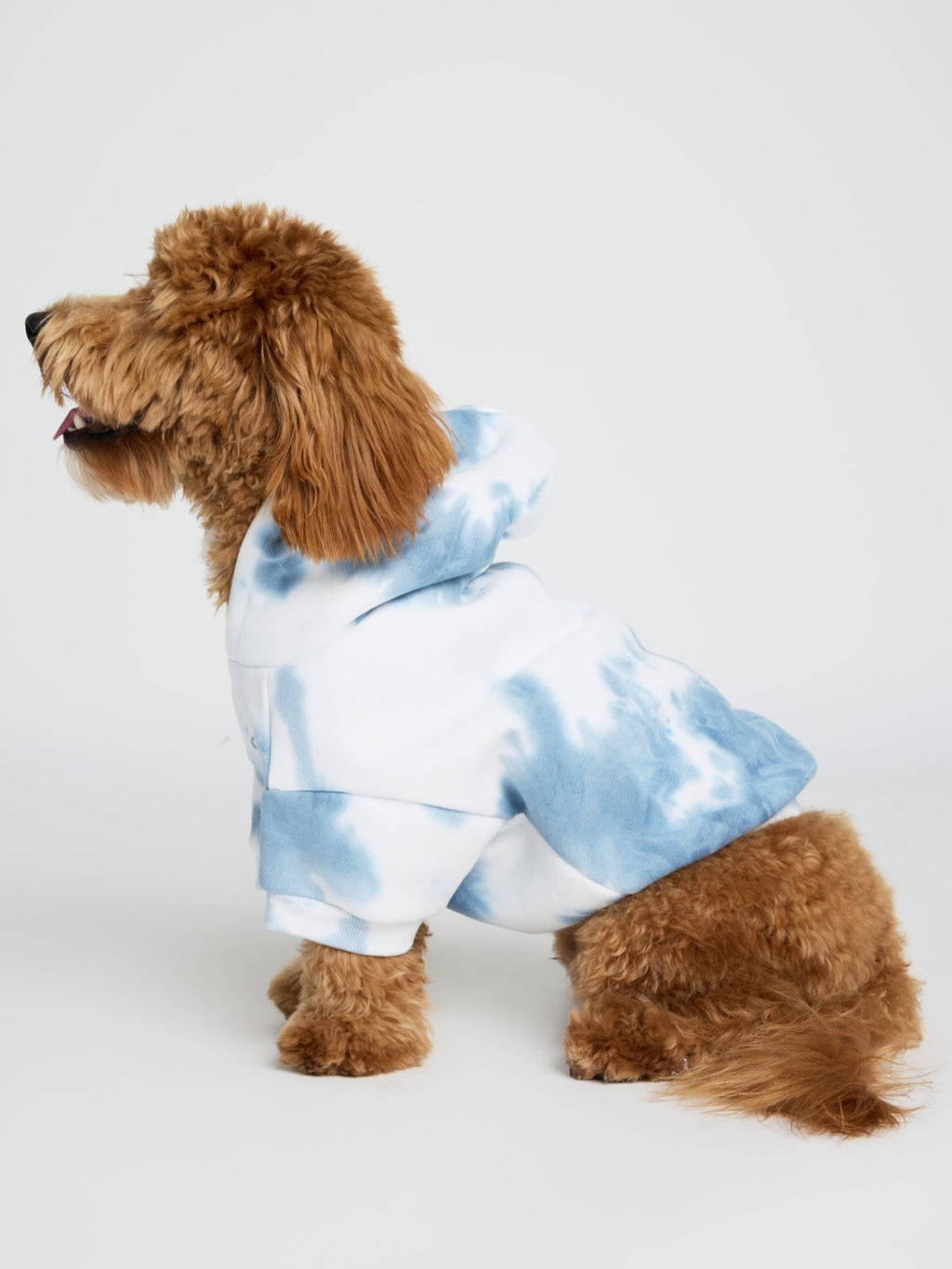 Minimalist Paw Hoodie - Pre-Order