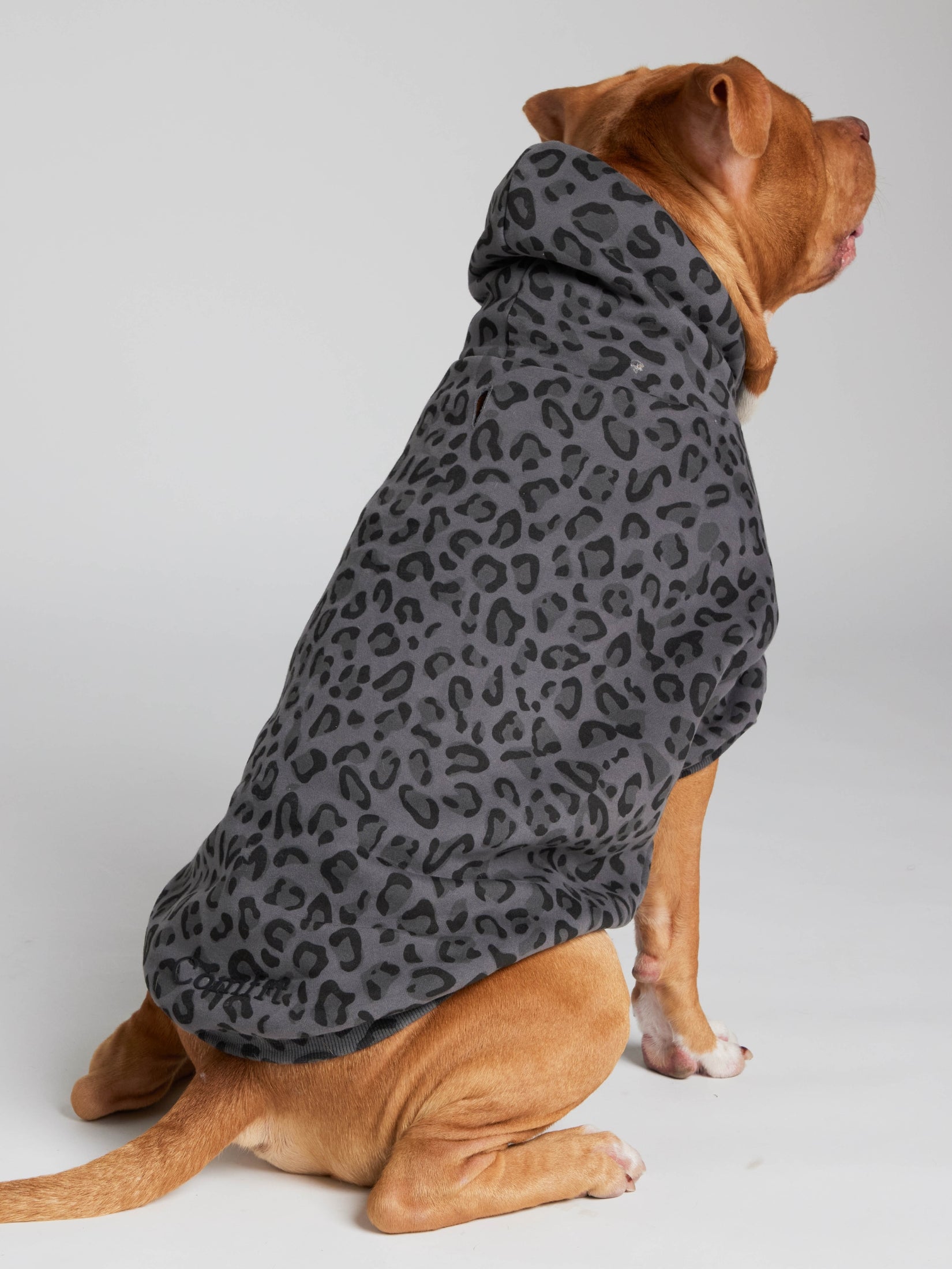 Minimalist Paw Hoodie - Pre-Order