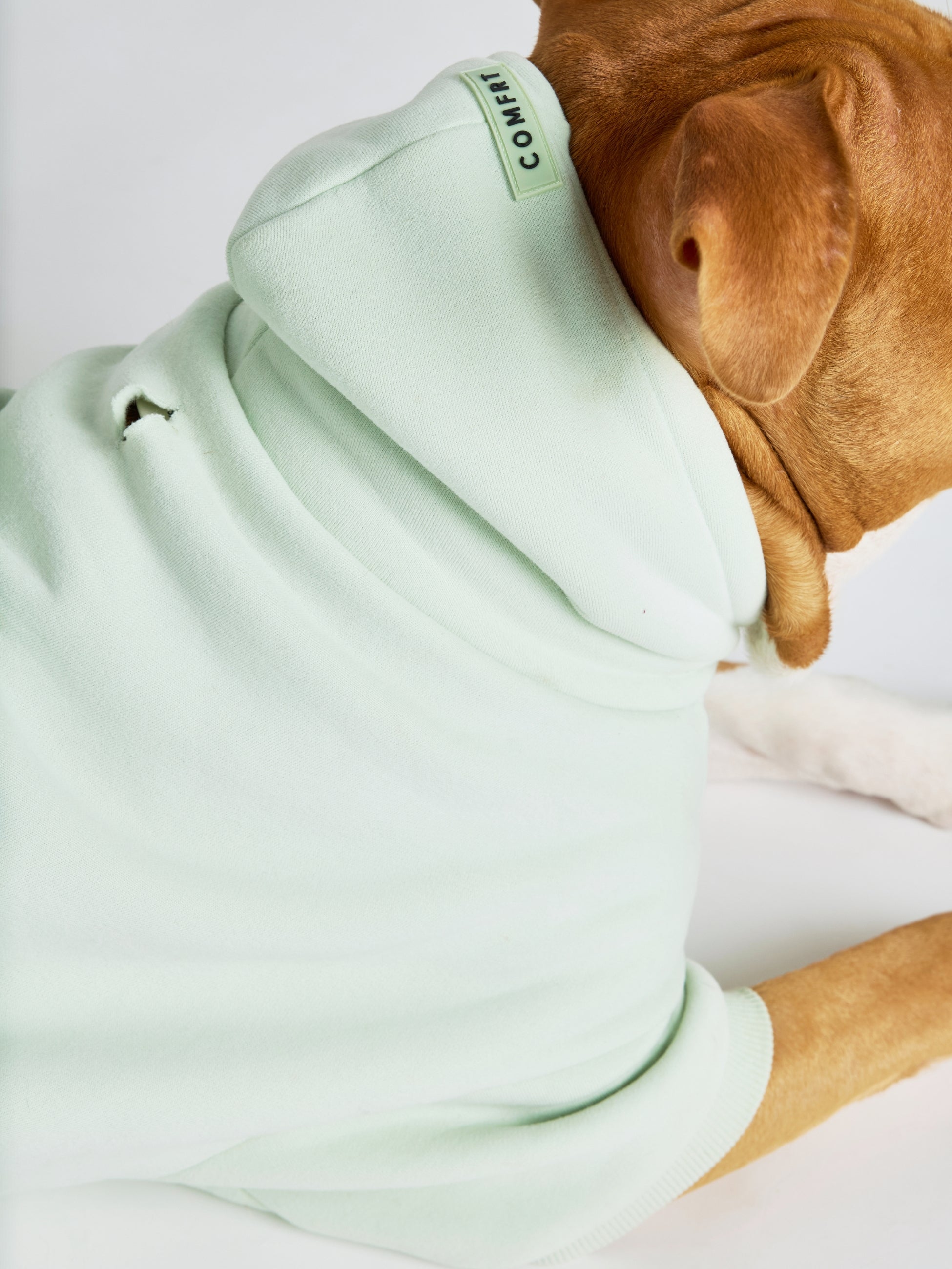 Pastel Paw Hoodie - Pre Order