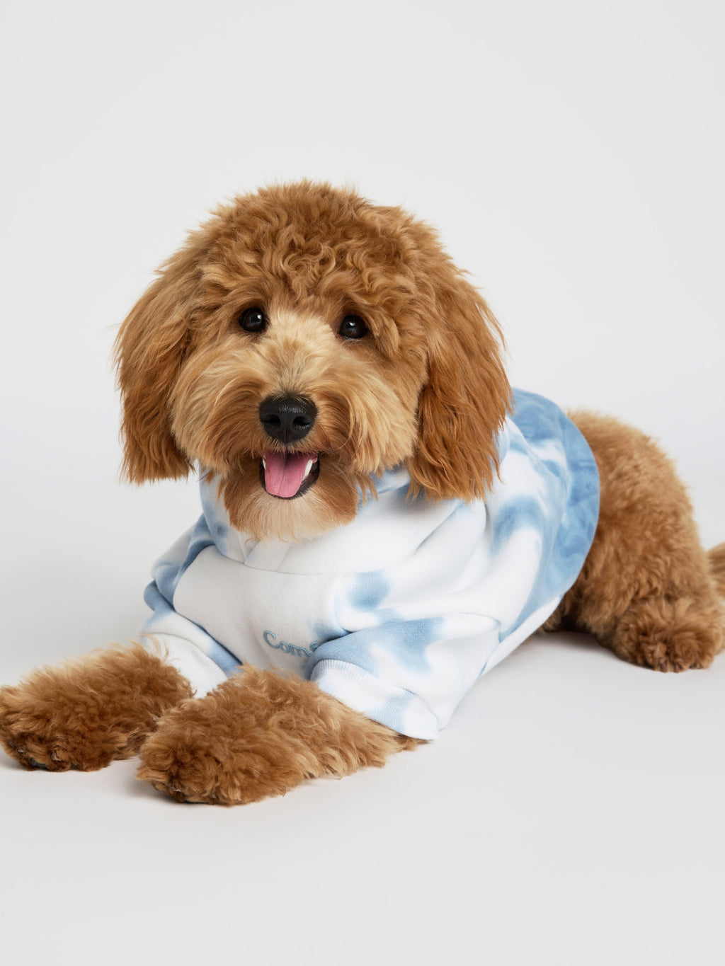 Minimalist Paw Hoodie - Pre-Order