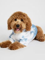 Minimalist Paw Hoodie - Pre-Order