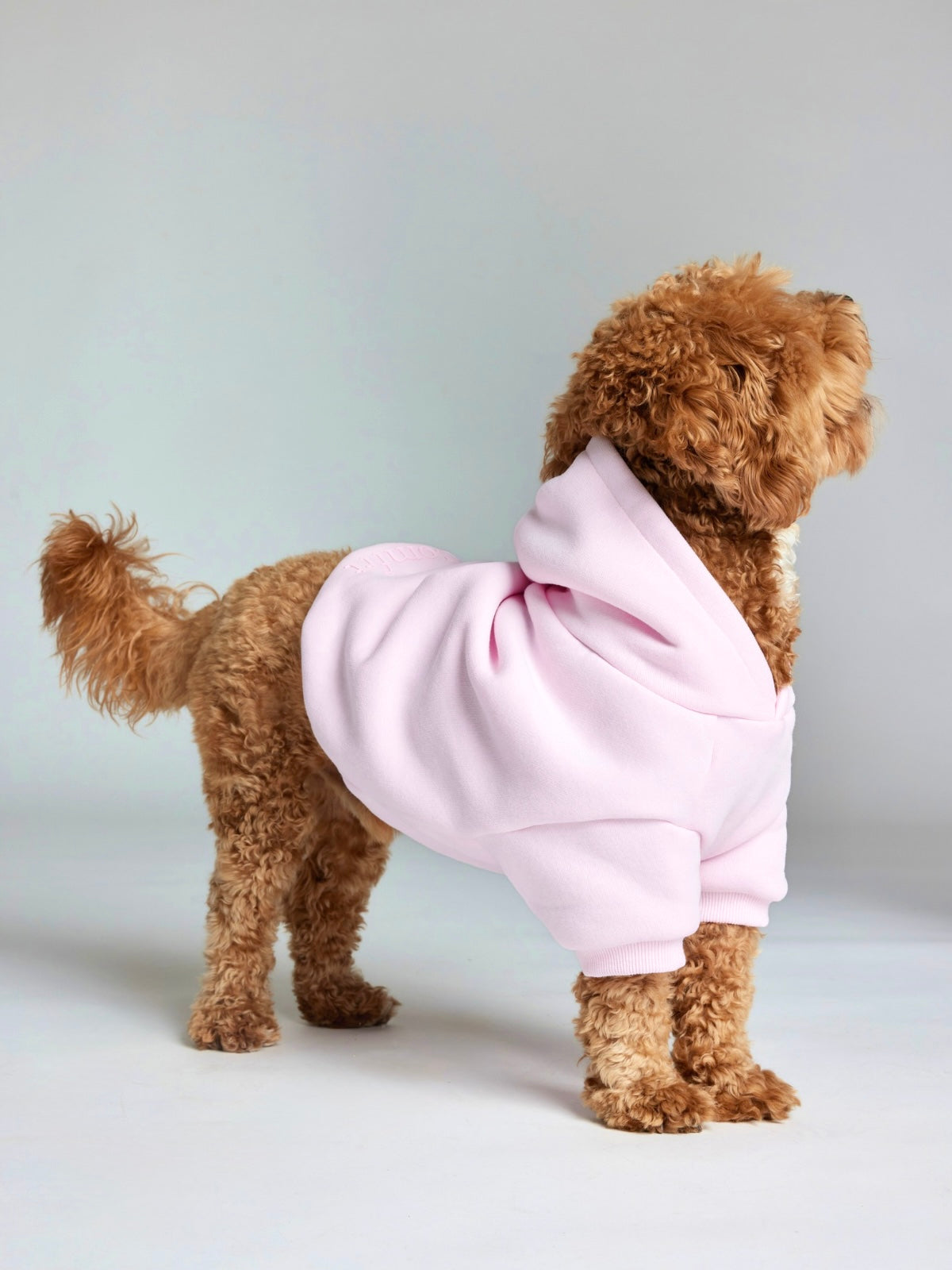 Minimalist Paw Hoodie