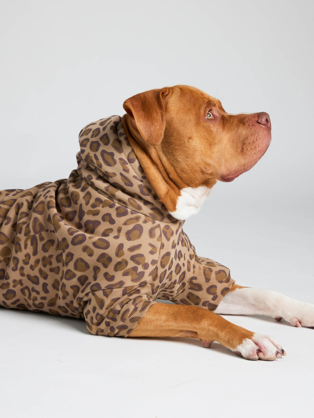 Minimalist Paw Hoodie - Pre-Order