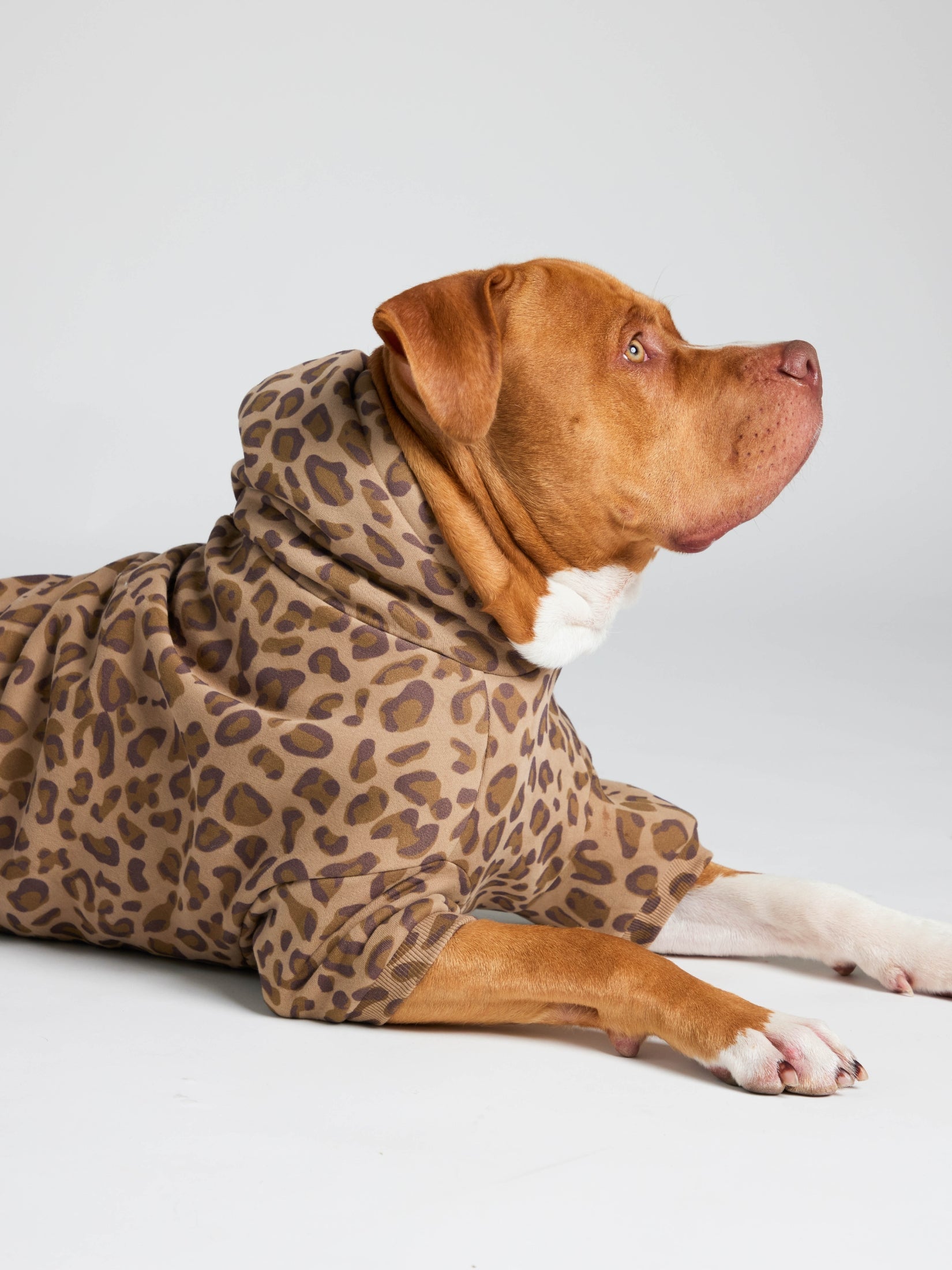 Minimalist Paw Hoodie - Pre-Order