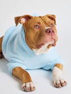 Pastel Paw Hoodie - Pre Order