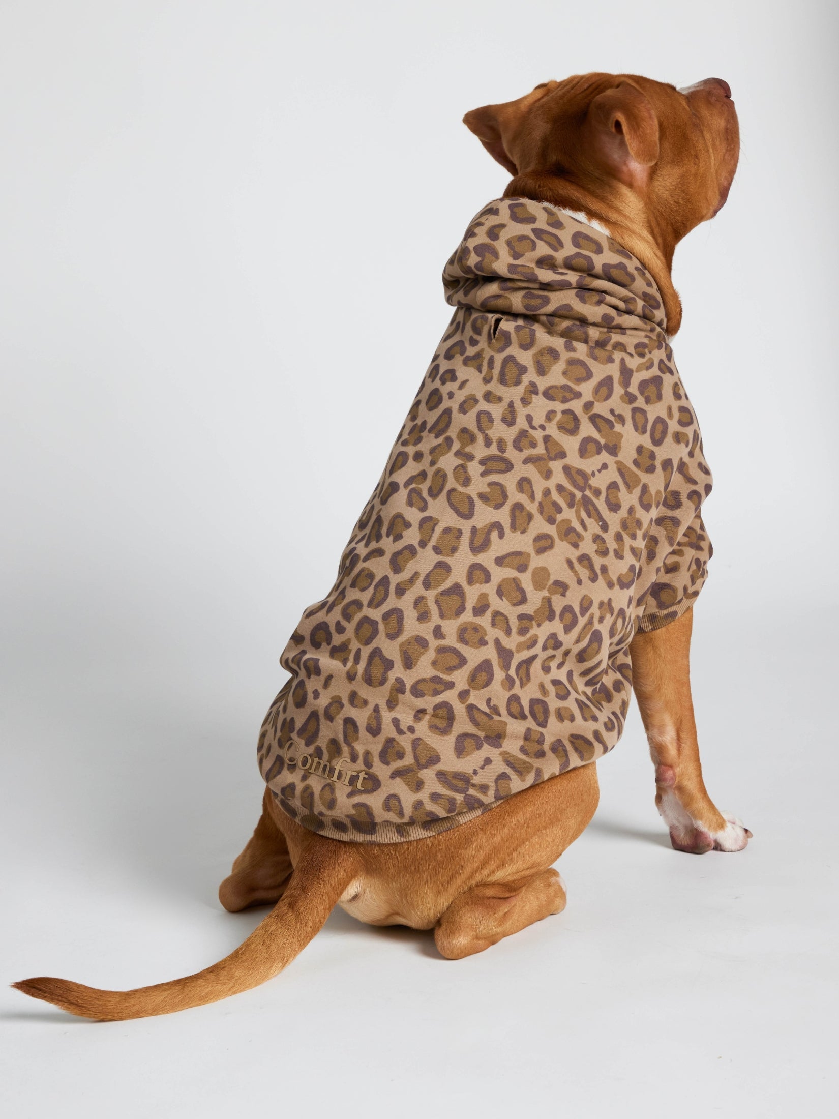 Minimalist Paw Hoodie - Pre-Order