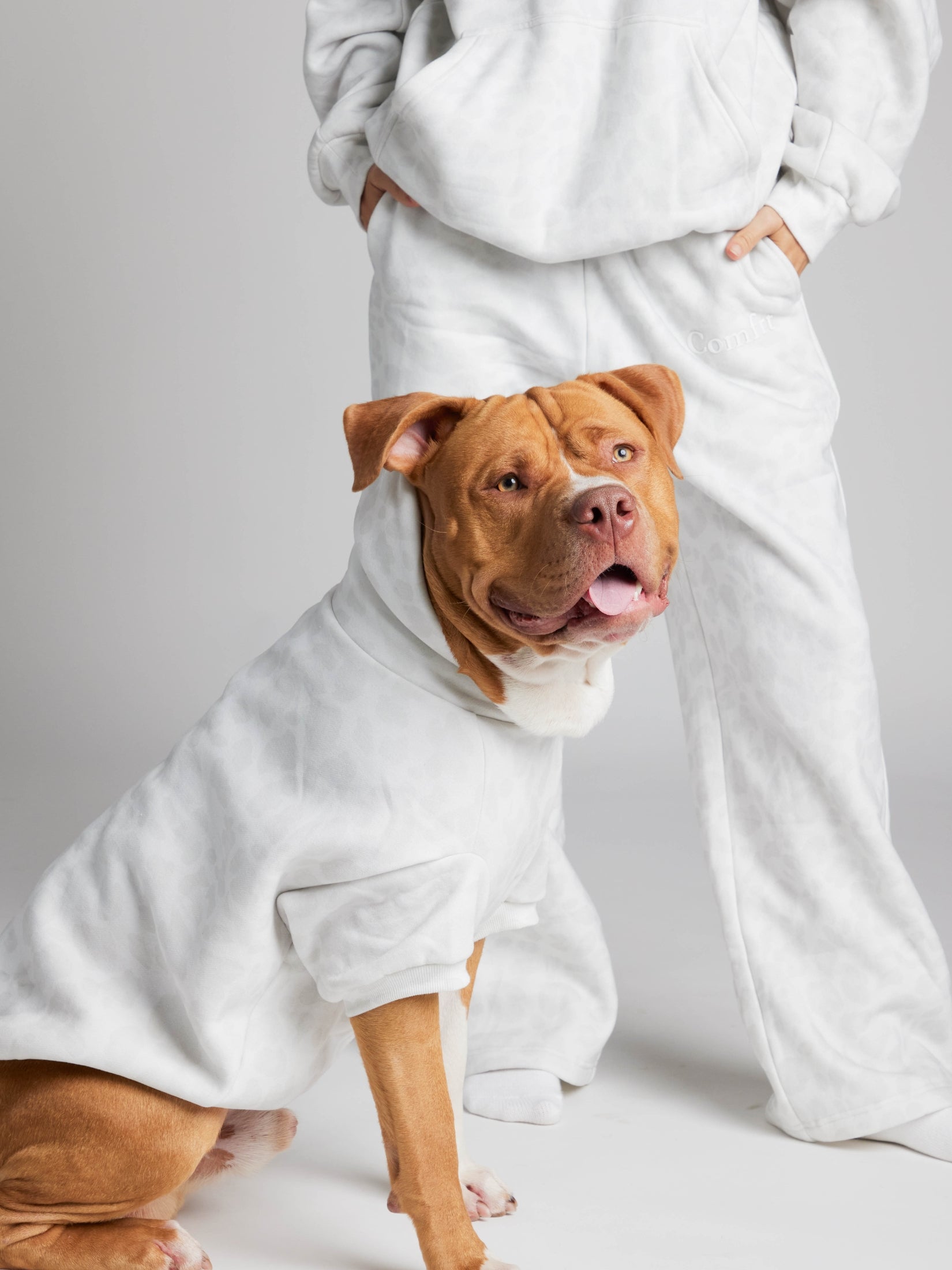 Minimalist Paw Hoodie - Pre-Order