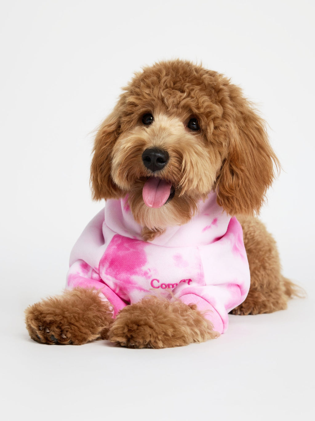 Minimalist Paw Hoodie - Pre-Order