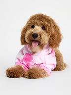 Minimalist Paw Hoodie - Pre-Order