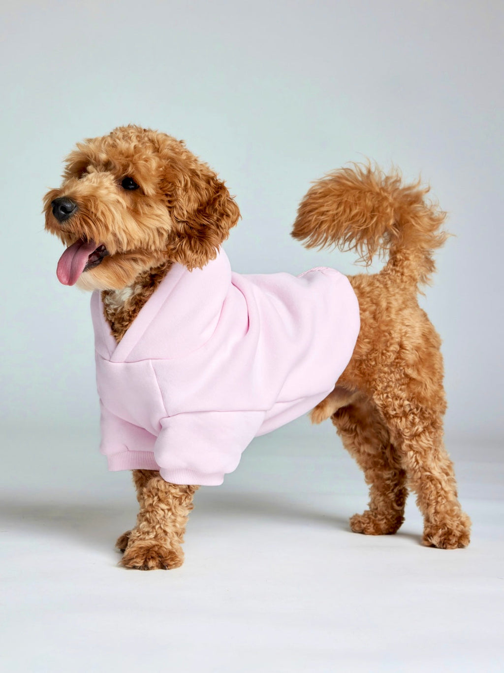 Minimalist Paw Hoodie