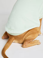 Pastel Paw Hoodie - Pre Order