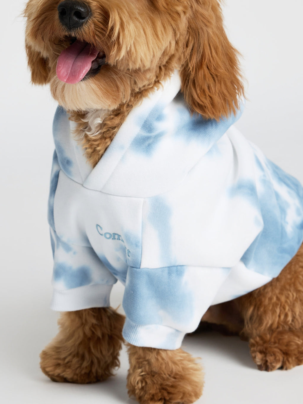 Minimalist Paw Hoodie - Pre-Order