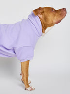 Pastel Paw Hoodie - Pre Order