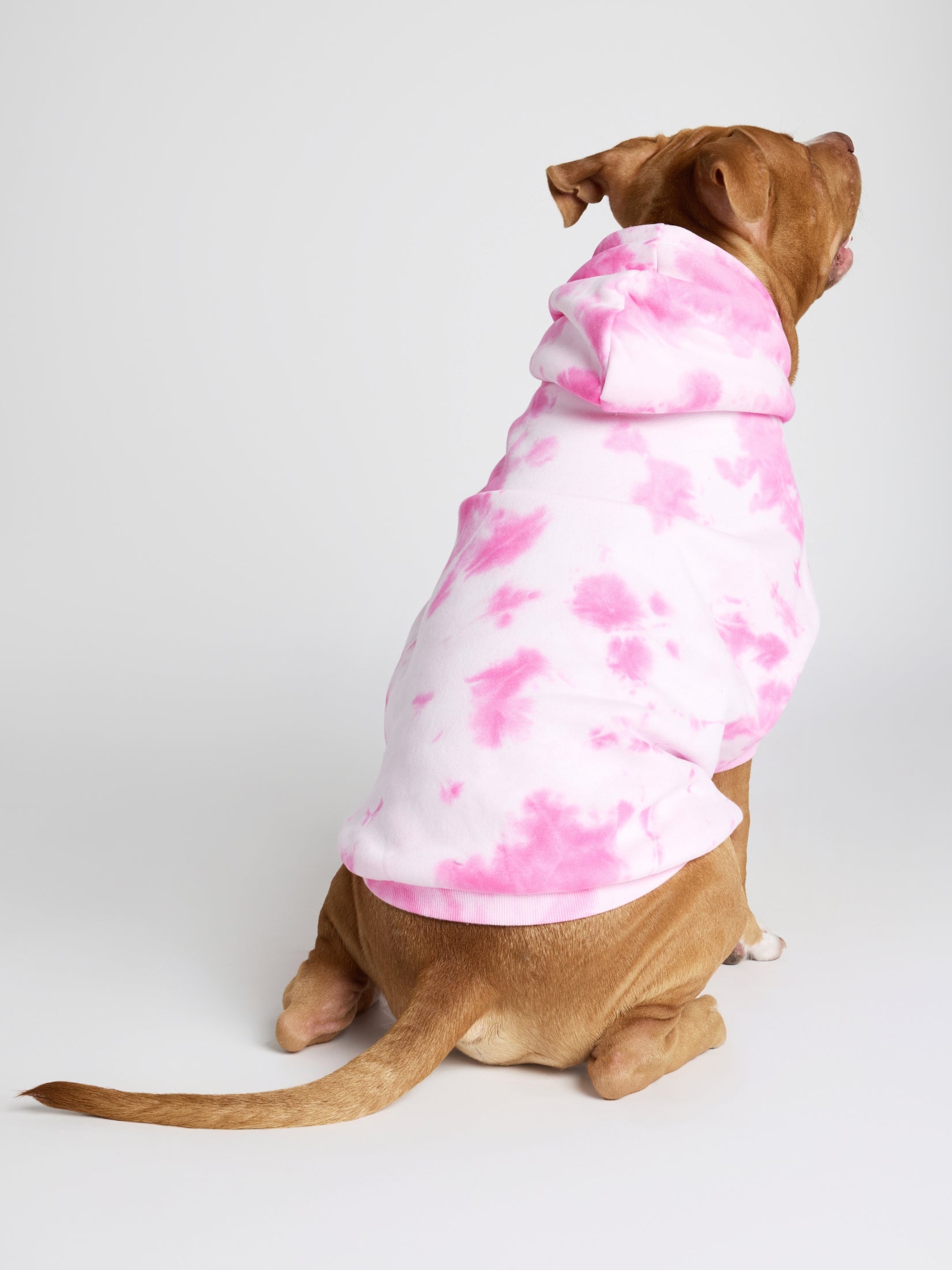 Minimalist Paw Hoodie - Pre-Order