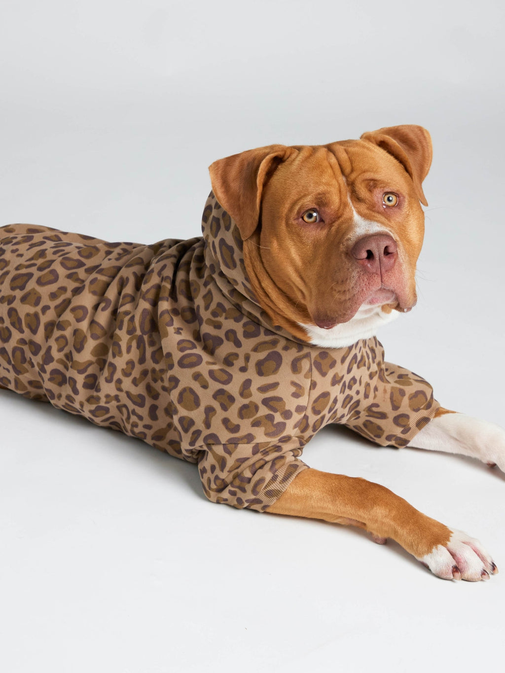 Minimalist Paw Hoodie - Pre-Order