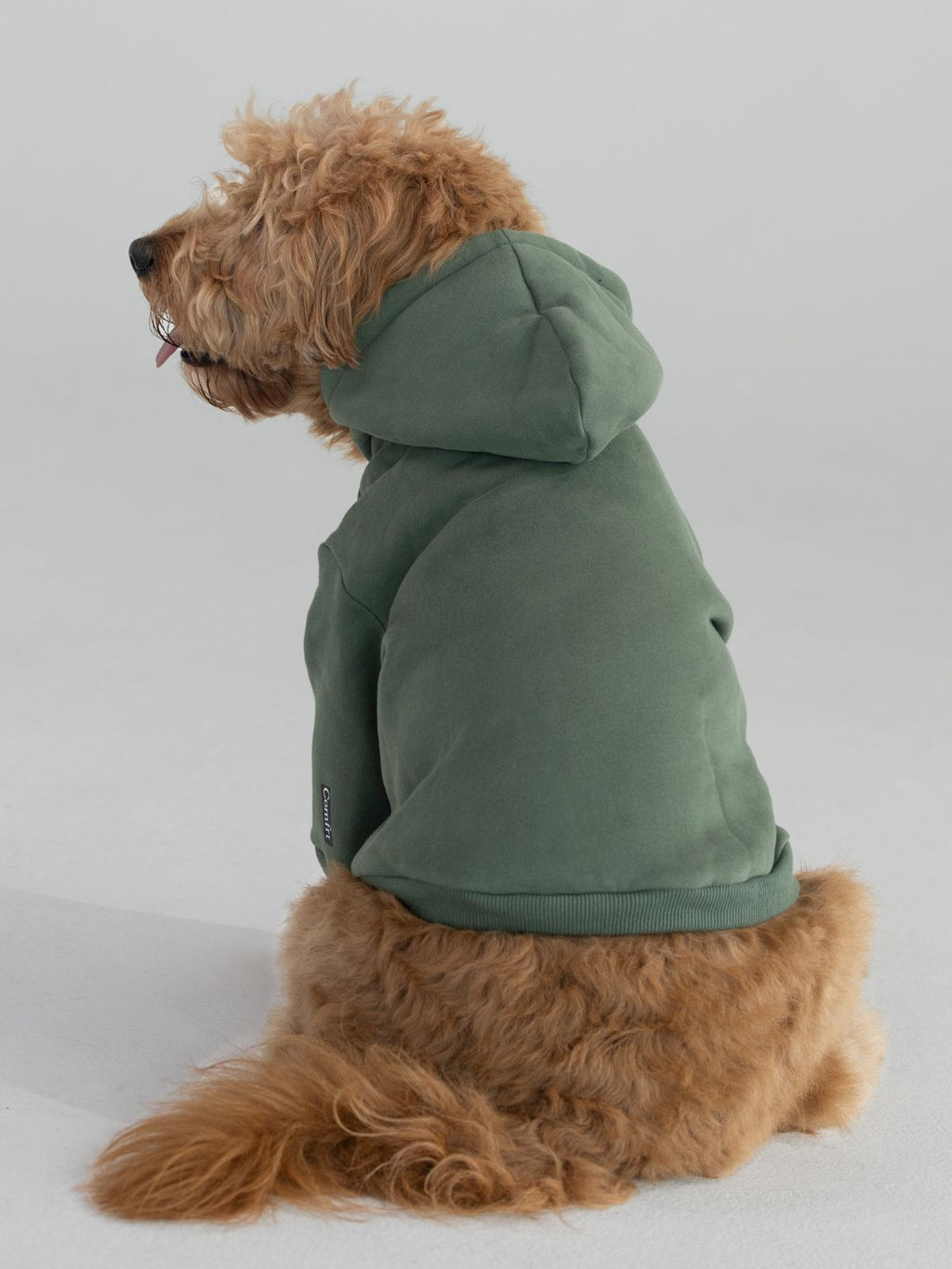 Standard Paw Hoodie - Pre-Order
