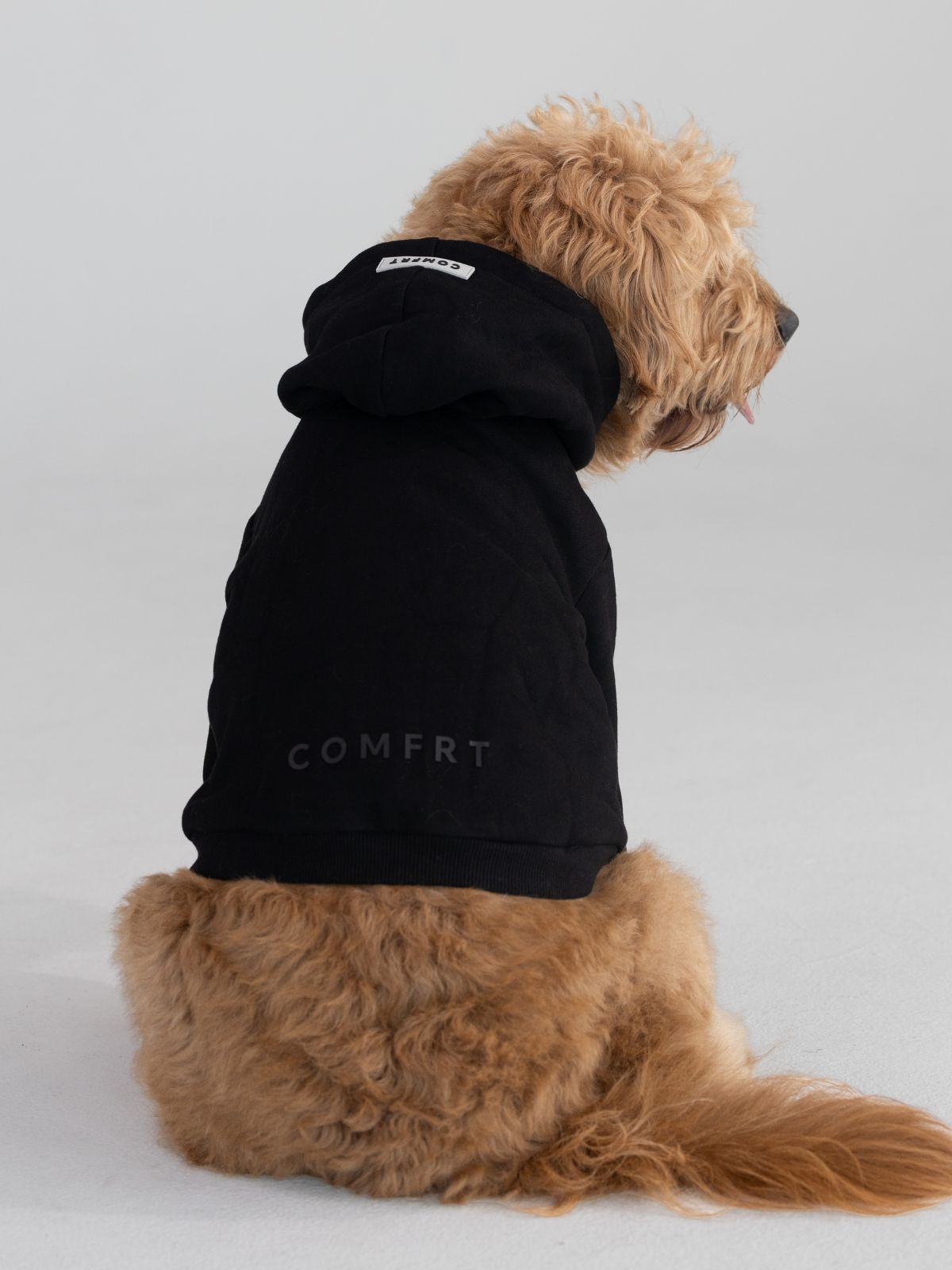 Tranquil Paw Hoodie -Pre-Order