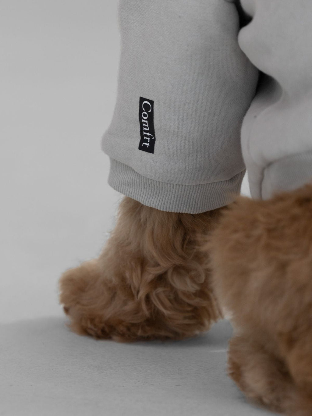 Standard Paw Hoodie