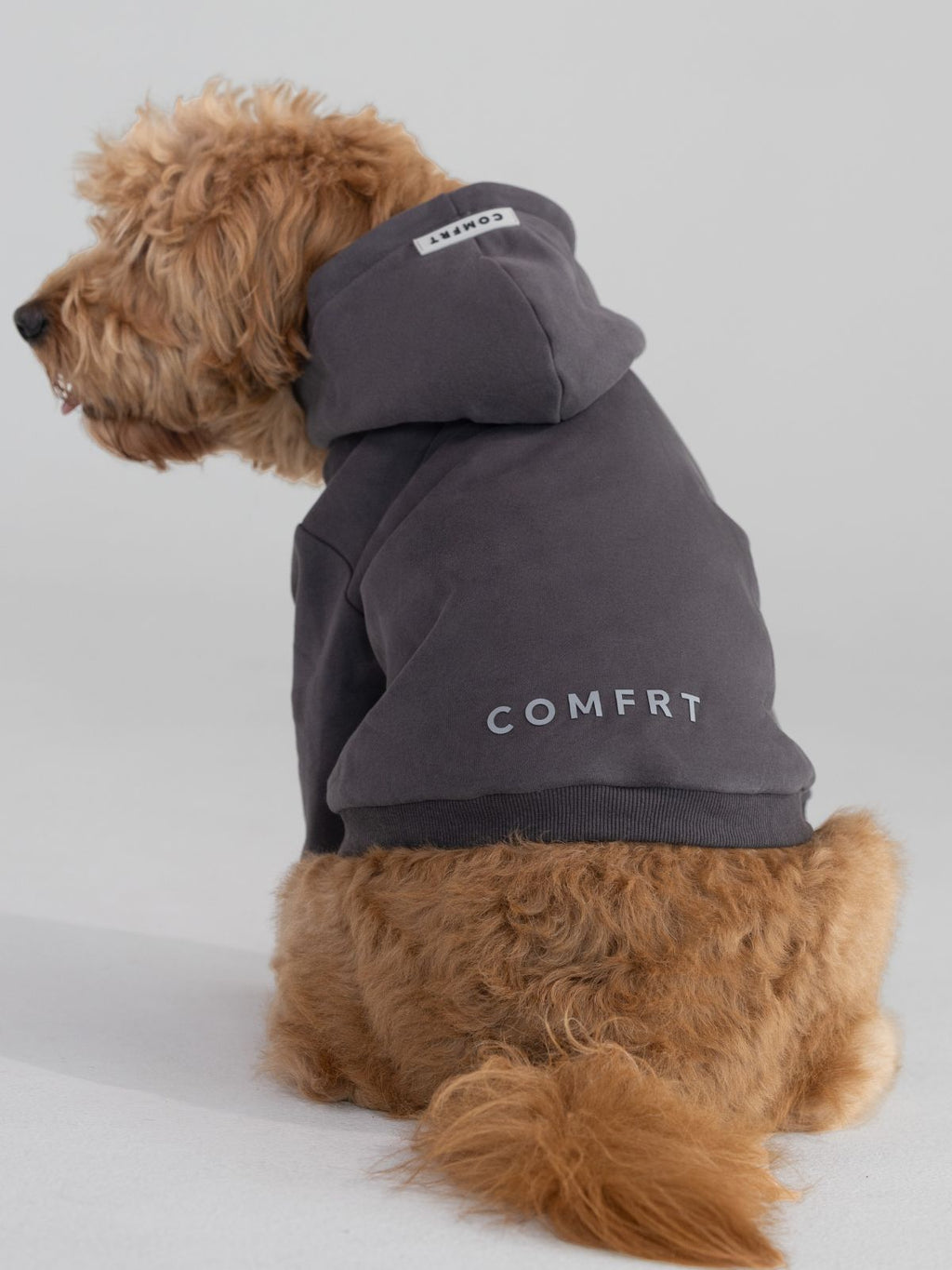 Tranquil Paw Hoodie -Pre-Order