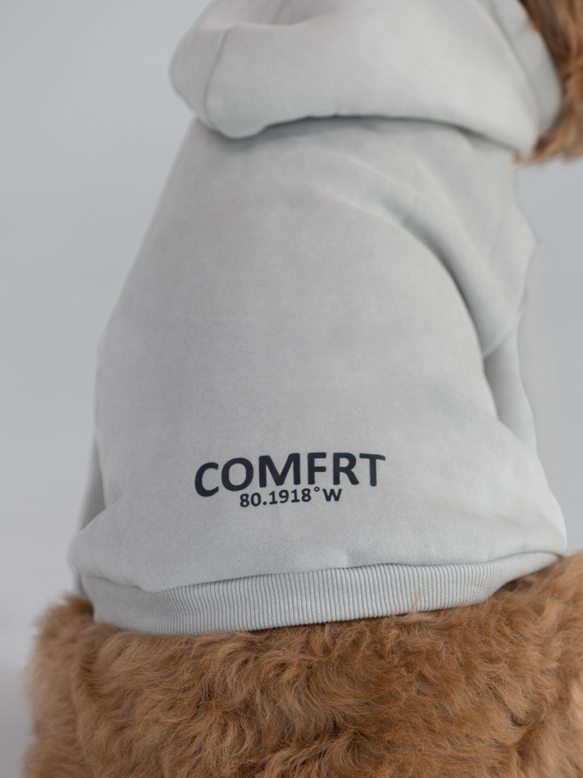 Coordinate Paw Hoodie - Pre-Order
