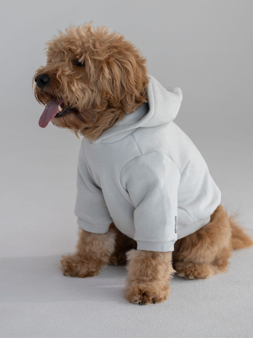 Standard Paw Hoodie - Pre-Order
