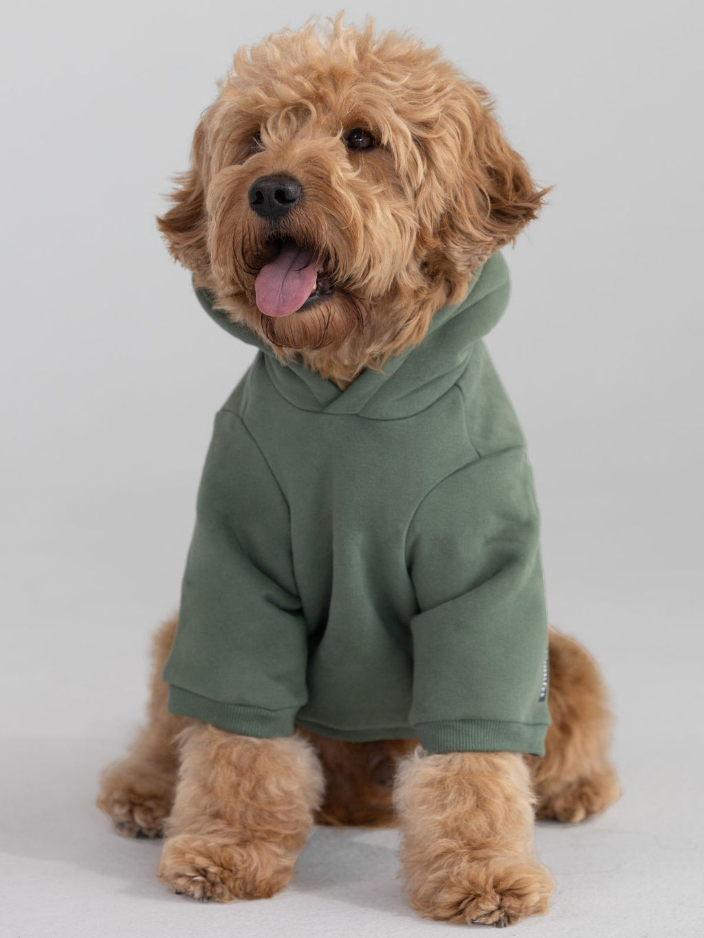 Standard Paw Hoodie - Pre-Order