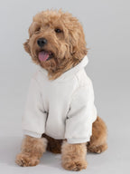 Tranquil Paw Hoodie -Pre-Order