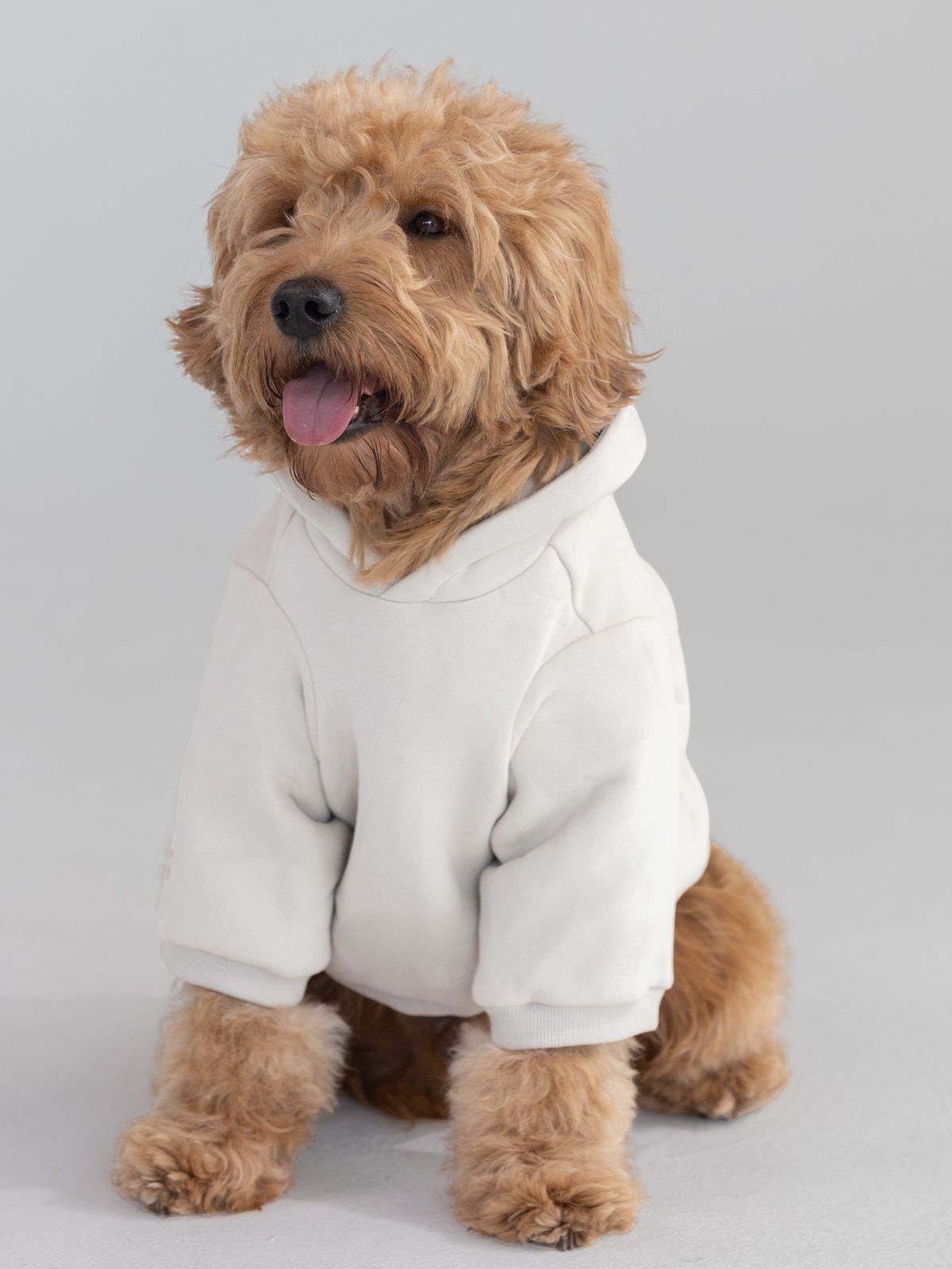 Tranquil Paw Hoodie -Pre-Order