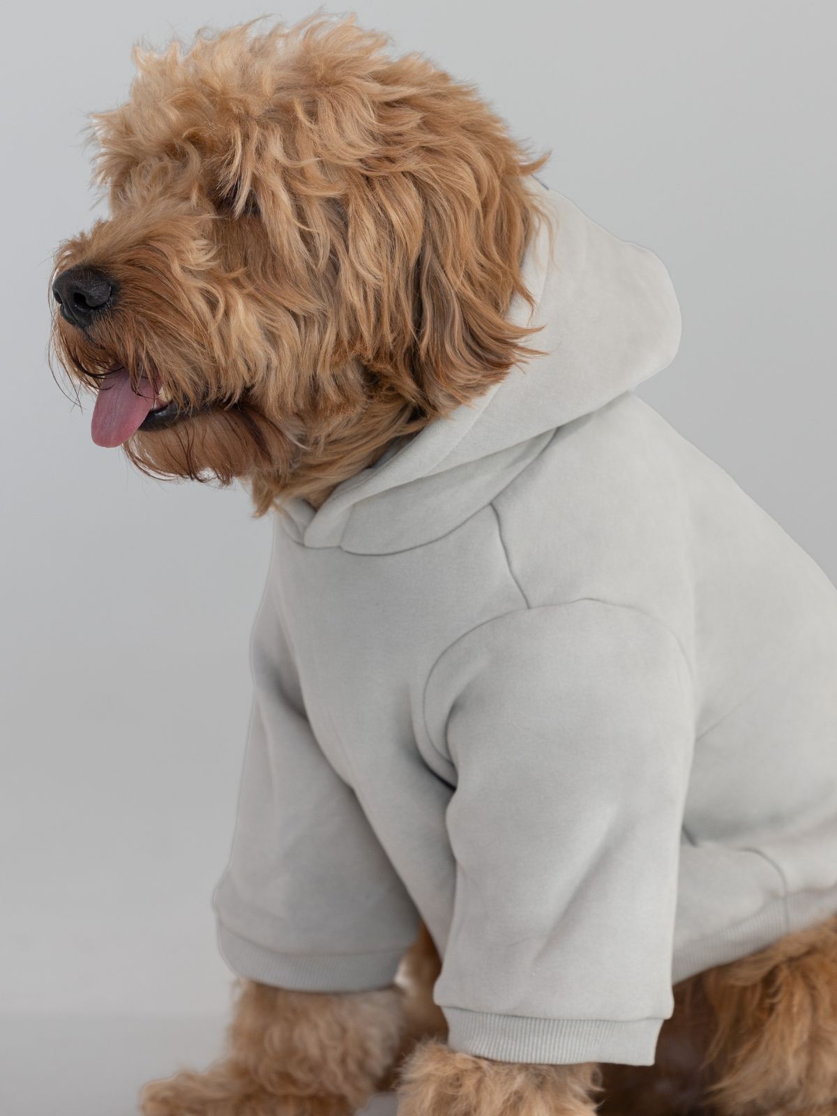 Coordinate Paw Hoodie - Pre-Order