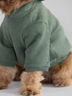 Standard Paw Hoodie - Pre-Order