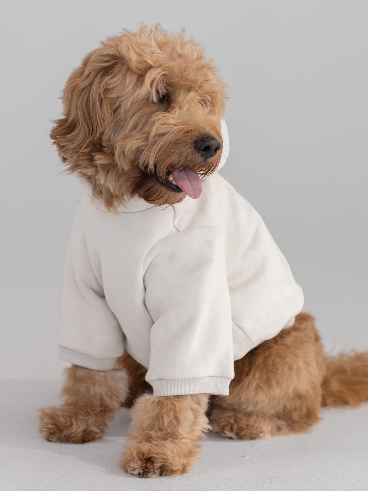 Tranquil Paw Hoodie -Pre-Order