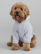 Coordinate Paw Hoodie - Pre-Order