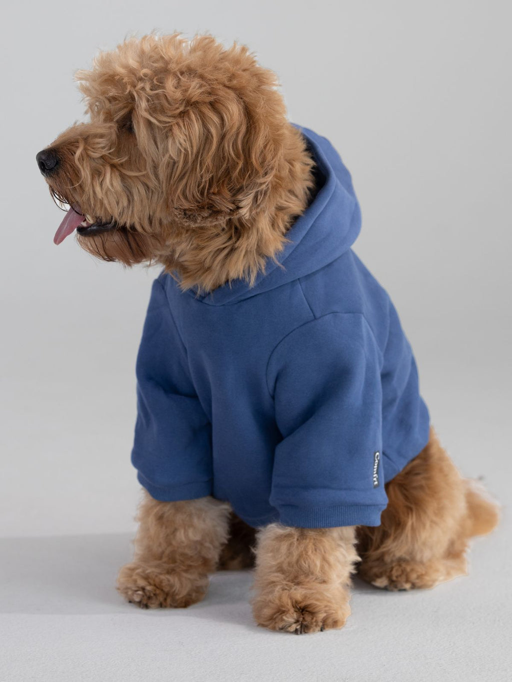 Standard Paw Hoodie - Pre-Order