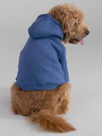 Standard Paw Hoodie - Pre-Order