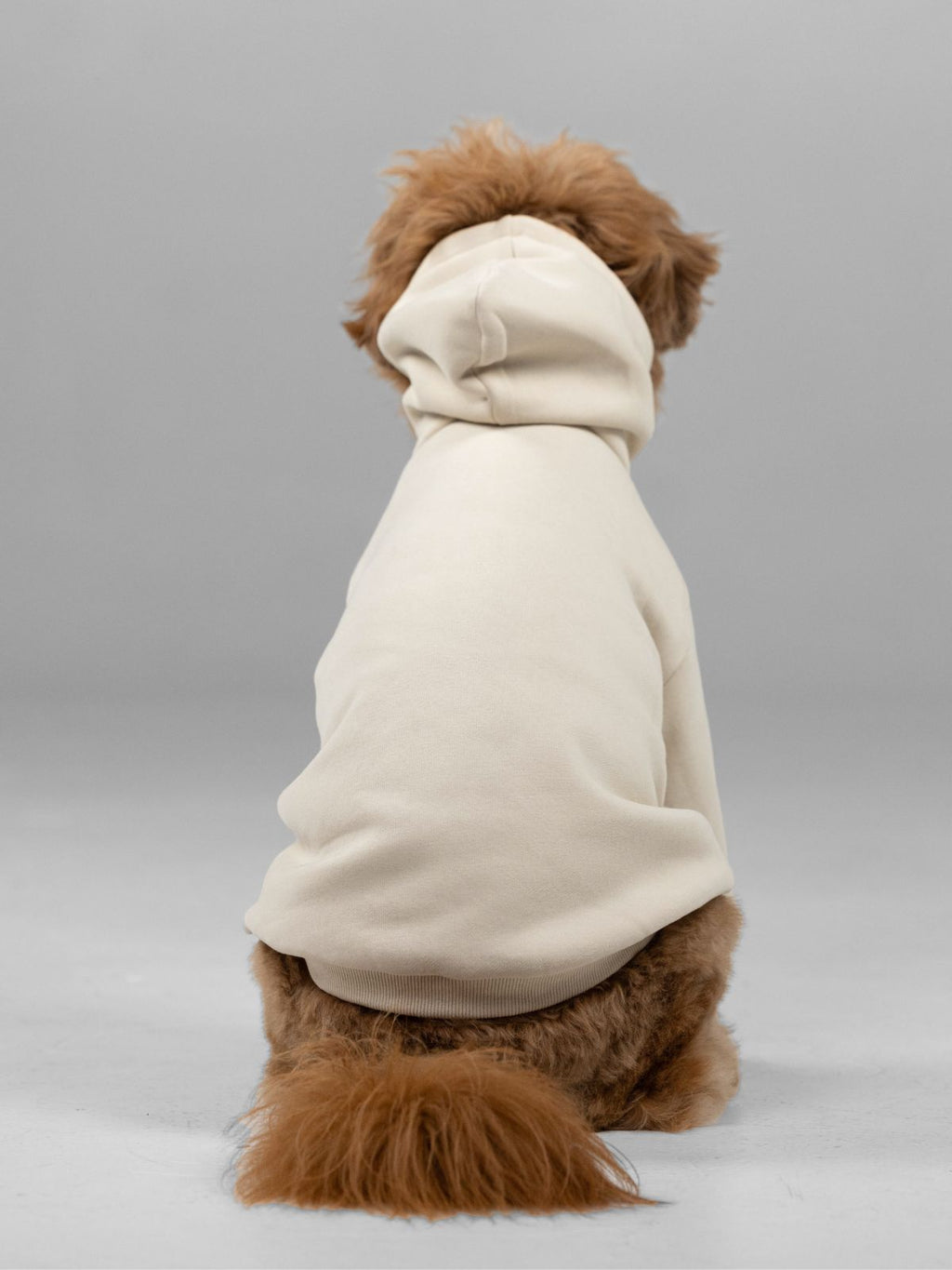 Signature Paw Hoodie -Pre Order